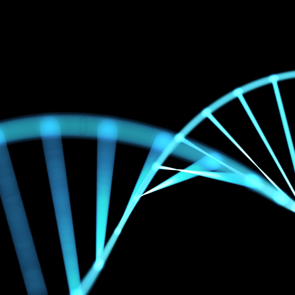 Creating Immediate Innovation Luxoft and Appian produce realworld